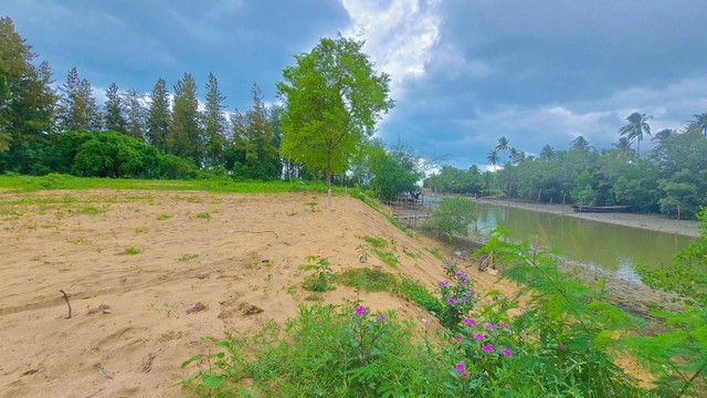 ขายที่ดินหาดบ้านหนองบัว ชุมพร 2 แปลงสุดท้ายลดพิเศษ  .