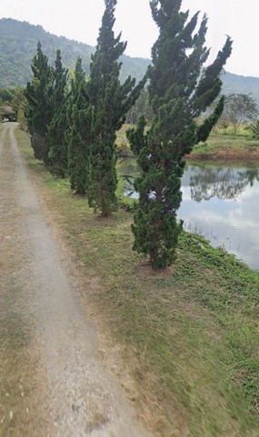 ขายที่ดินสวย บรรยากาศดี ต. หนองบัว อ. ภูเรือ จ.เลย   .