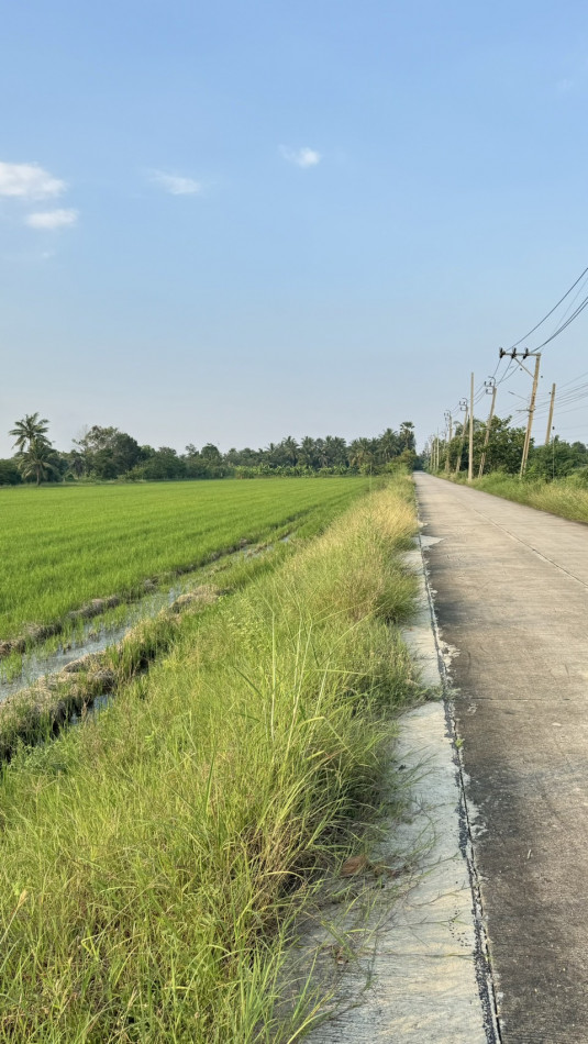 ขายที่ดิน ใกล้ถนนปทุมธานี บางเลน อำเภอไทรน้อย 5 ไร่ 1 งาน 32 ตรว