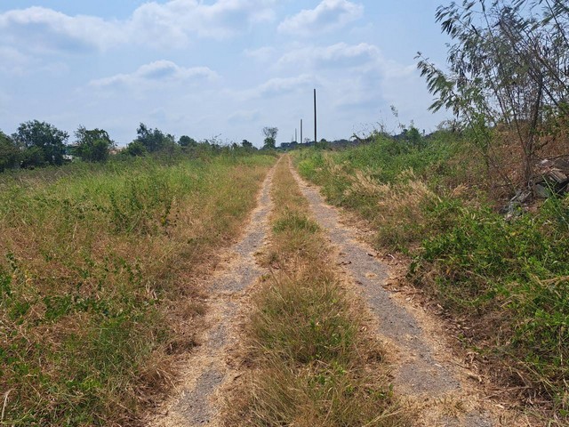 ขายที่ดินแปลงสวย ใน คลองหก  ต.คลองหก อ.คลองหลวง จ.ปทุมธานี    .