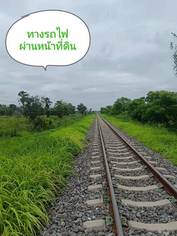 ขายที่ดิน (โคกหนองนา) อำเภอประจันตคาม จังหวัดปราจีนบุรี  .