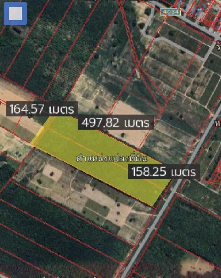 ขายที่ดินผังม่วงลายนิคมพัฒนาระยอง.