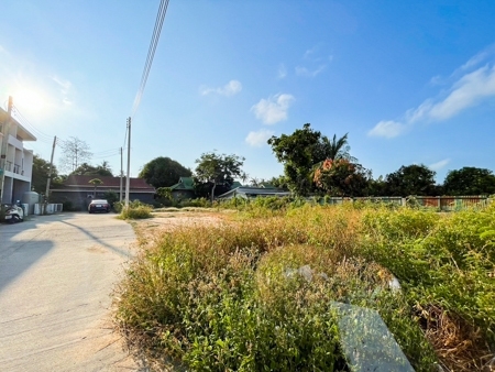 Beautiful plot of land in Koh samui for rent Area 108 square mete  .