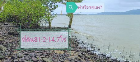 ขาย ที่ดิน ติดทะเล ติดท่าเรือ 81 ไร่ 214 ตร.วา จังหวัดระนอง: PR_aa00000528145: PR_aa00000528145