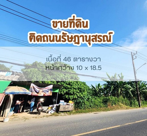 ขายที่ดิน ติดถนนรัษฎานุสรณ์ เทศบาลนครภูเก็ต   .