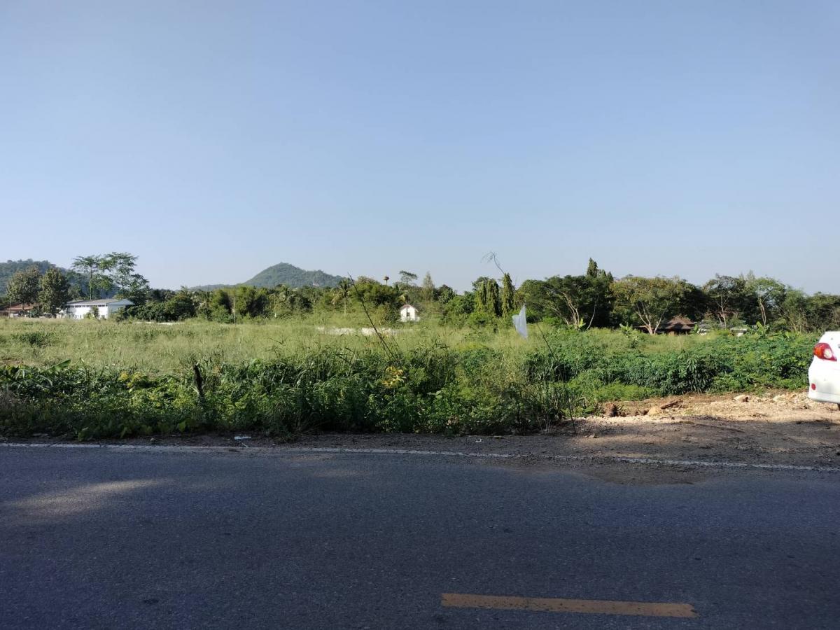 Land for Sell ‼️   ใกล้ ปตท.ทางขึ้นเขาใหญ่ (หนองสาหร่าย)    .