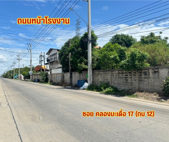 ขายที่ดินติดถนนเศรษฐกิจ1 ที่ดินกระทุ่มแบน.