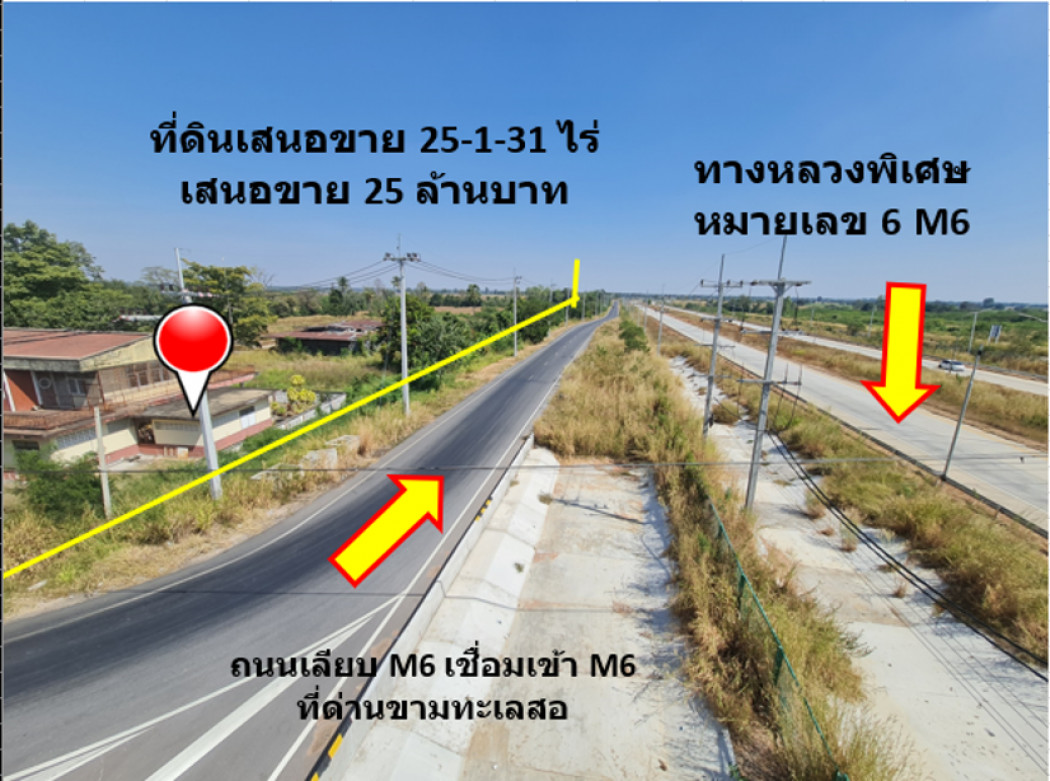 ขาย ที่ดิน ติดถนนสายขามทะเลสอ-โนนไทย  ทล.2068  เชื่อมออกทางหลวงพิเศษ M6 ได้ เนื้อที่ 25 ไร่ 1 งาน 31 ตรว ราคายุติธรรม: PR_aa00000592912