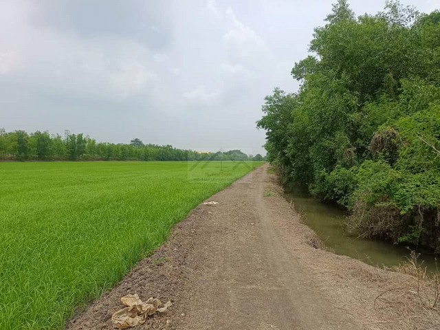 ขายที่ดิน 49 ไร่ 1งาน คลองสาม คลองหลวง ผังชมพู ใกล้ประตูน้ำพระอิน  .