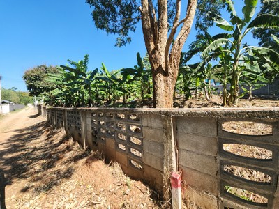 ขายที่ดิน วิวภูเขาสุดพิเศษ 300 ตร.วา (เขาใหญ่)  .