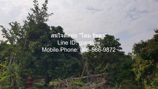 ขายที่ดินสวนลำไย ต.ขุนคง อ.หางดง จ.เชียงใหม่ (น.ส.4 จ) 2 ไร่, 2.5  .