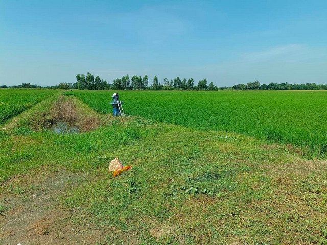 ขายที่ดิน 12 ไร่ ติดถนนสี่เลน อำเภอเมืองสุพรรณบุรี สุพรรณบุรี   .