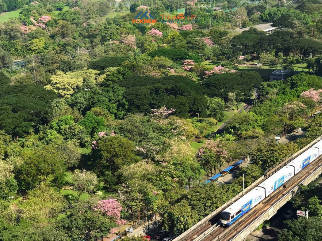 Condo The Line Jatujak ห้องแต่งสวย วิวสวย สวนจตุจักร ขายราคาพิเศษ: aa00000595009