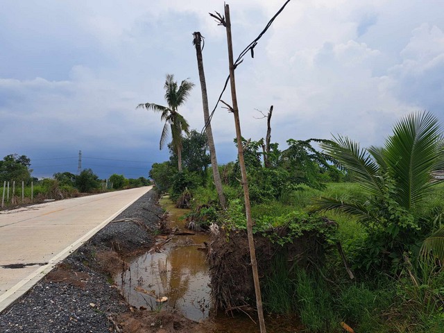 ขายที่ดินคลอง10 หนองเสือ ถนนรังสิต-นครนายก 0849924497  .