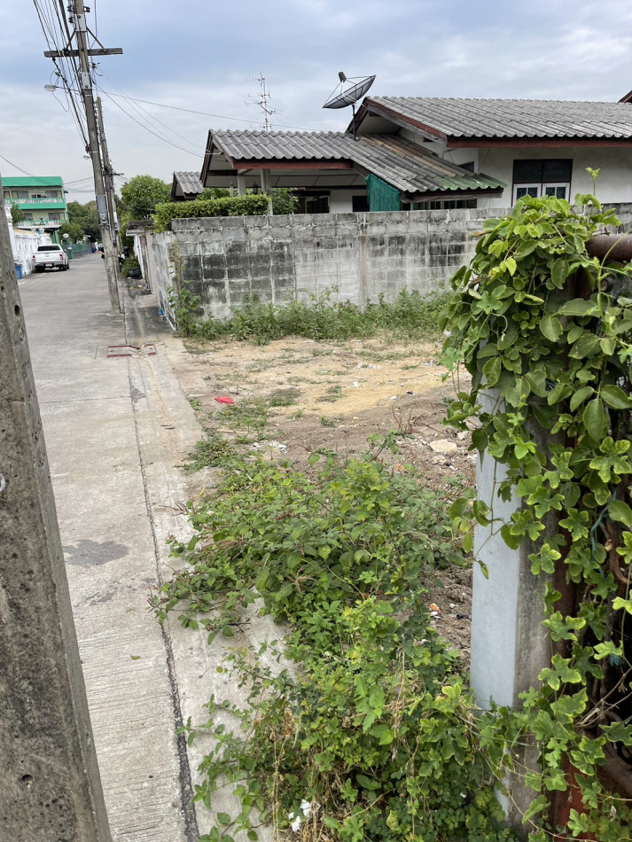 ขายที่ดิน เหมาะสร้างบ้าน ปุณณวิถี 47 สุขุมวิท101 บางจาก พระโขนง 55 ตรว ทำเลดี: aa00000552155: aa00000552155