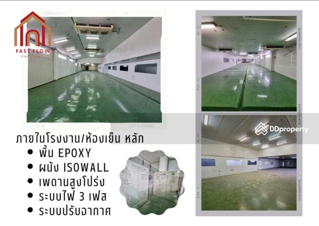 ขาย โรงงาน ขาย ที่ดิน พร้อมโรงงาน ห้องเย็น กำแพงแสน 1800 ตรม 2 ไร่ 3 งาน 46 ตรว: aa00000597931