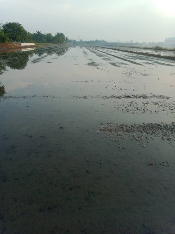 ขายที่ดิน ที่ดินติดถนน ไทรน้อย  นนทบุรี  .