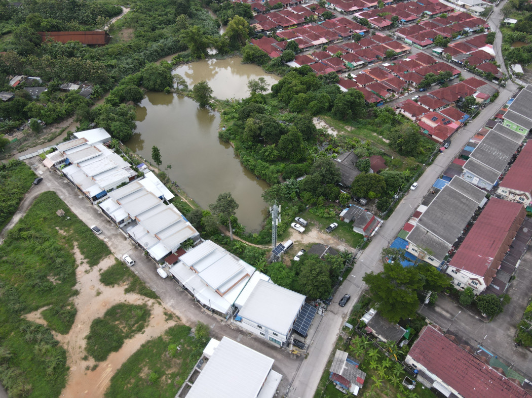 ขายที่ดิน ศรีราชา ถนนเครือสหพัฒน์ (ใกล้ท่าเรือแหลมฉบัง เขตชุมชนเมืองมีความเจริญ) 10-1-93 ไร่ ผังสีส้ม ถนนกว้าง 8 m. เหมาะสร้างโครงการจัดสรร: aa00000537675