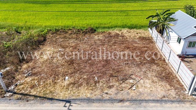 ที่ดินจัดสรร 100 ตร.ว. ซอยสังฆสันติสุข 48 ทำเลดี ใกล้ถนนใหญ่  .