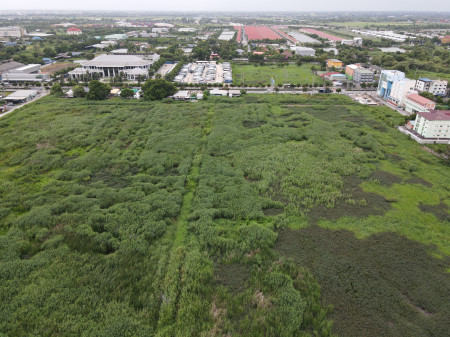 ขายที่ดิน ลาดกระบัง ติดถนนลาดกระบัง—ใกล้สุวรรณภูมิ Airport (เหมาะสร้างโครงการจัดสรร) 83-2-28 ไร่ ถนน 6 เลน #ใกล้ ม.ลาดกระบัง และ Motorway: aa00000462495