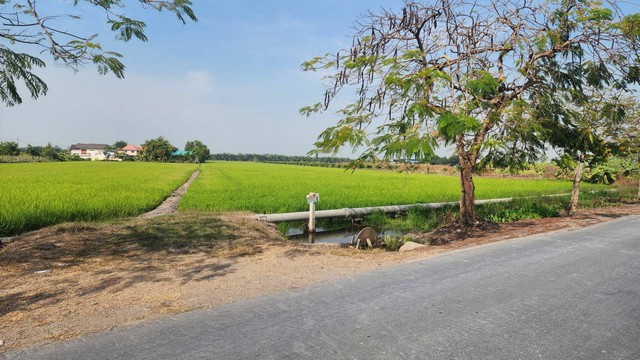 ให้เช่าที่ดิน ที่ดินติดถนนใหญ่ คลองสิบ-คลองสิบสี่  .