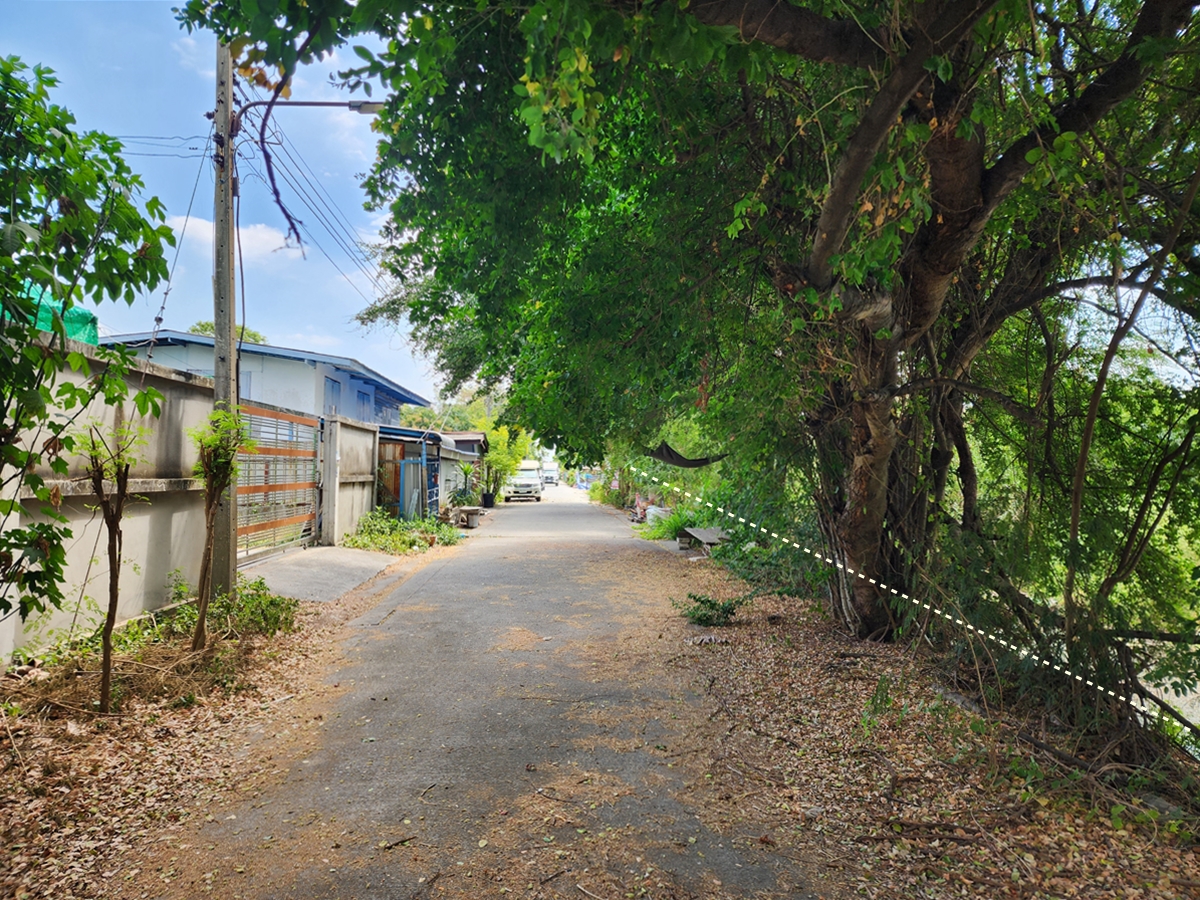 ขาย ที่ดินเปล่า 212 ตร.ว. ซอยธรรมสุธีร์ 19 อ.เมืองปทุมธานี จ.ปทุมธานี