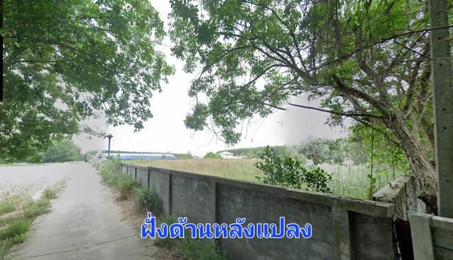 ขายที่ดิน 9-3-31 ไร่ ติดถนนสองฝั่งหน้าหลัง พื้นที่ม่วงจุดขาว ปลวก  .