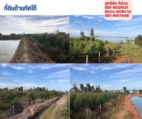 ขายที่ดินสวนติดน้ำเขื่อนลำปาว กาฬสิน  เนื้อที่ 29-3-39  ไร่   .