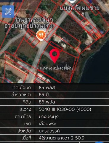 ขายที่ดินโฉนดครุฑแดง 4-2-50 ไร่ บ้านท่าซุด   อ.โกรกพระ จ.นครสวรรค  .