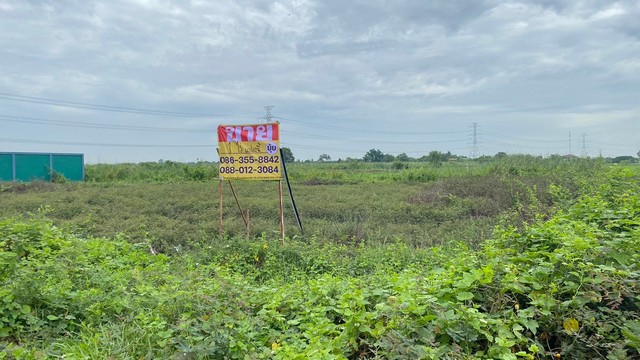 ขายที่ดิน 400 วา โครงการสำเภาทองแฟคเทอรี่  บางสะแกใต้  ลาดหลุมแก้  .