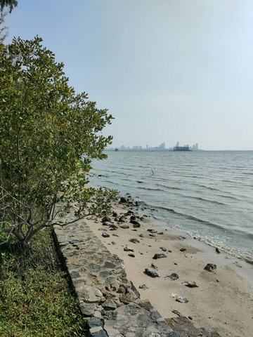 ขายที่ดินแปลงสวยเป็นชายหาดส่วนตัว  ติดทะเลพัทยา (หาดกระทิงลาย)   .