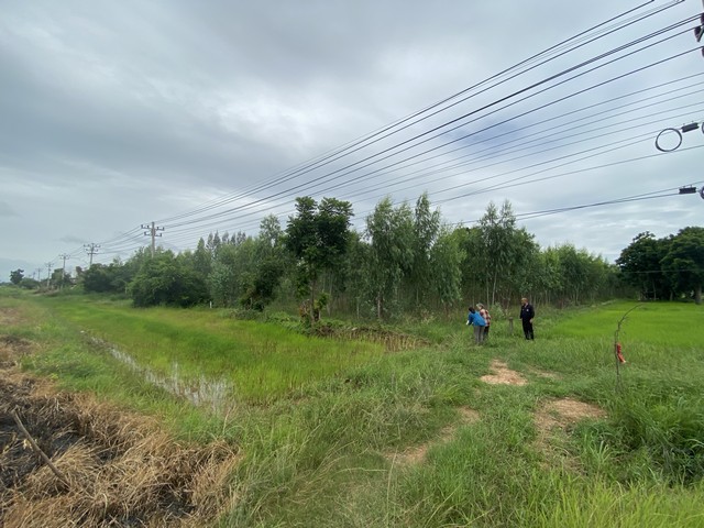 ขายที่ดินยกแปลงชัยภูมิ ภูเขียว ติดถนนใหญ่  จังหวัดชัยภูมิ   .