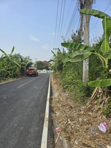 ขายที่ดินปทุมธานี ซอยคริสจักร 3  200 ตร.ว. 25,000 /วา ใกล้ โรงพยา  .