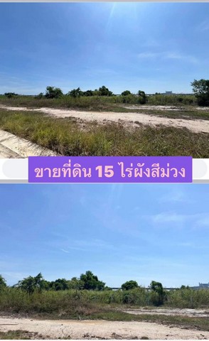 ขายที่ดินหน้านิคมอมตะ ชลบุรี  .