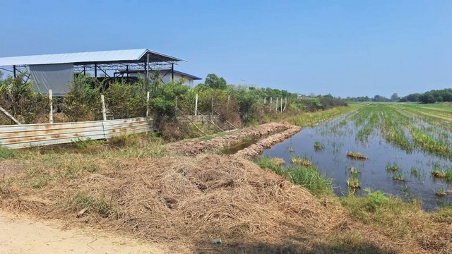 ขายที่ดิน คลอง 5 อำเภอคลองหลวง จังหวัดปทุมธานี เนื้อที่ 4 ไร่  .