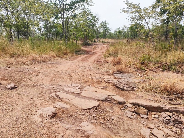 ที่ดินเพื่อการเกษตร หนองบัวแดง ชัยภูมิ  .