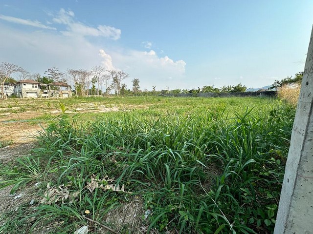 ขายที่ดินเปล่า ในโครงการปัญญารีสอร์ท วิวธรรมชาติ ใกล้สุขุมวิท  .