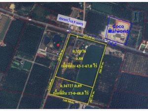 ขาย ที่ดิน เปล่า แพงพวย อำเภอดำเนินสะดวก ราชบุรี  60 ไร่ ID-13815