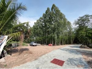 เสนอขายที่ดิน สำหรับโครงการบ้านจัดสรร บ้านสวนซอย 13 สำนักบก ชลบุรี