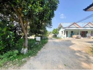 Vacant land for rent, area 370 sq.w..