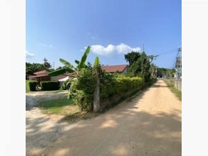 Long-term rental of land with business, 9 houses for rent..
