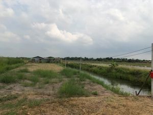 ขายอสังหาริมทรัพย์บ้านที่ดิน แบ่งขายนะคะ  ลาดหลุมแก้ว   คอนกรี.