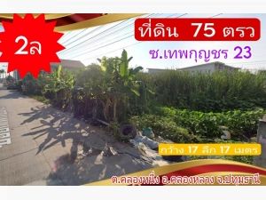 ขาย ที่ดิน ถ. ไอยรา 75 ตรว จ.ปทุมธานี อ.คลองหลวง ซ.เทพกุญชร 23