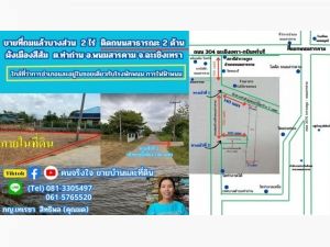ขายที่ถมแล้ว ผังสีส้ม เกือบ  2 ไร่ ต.ท่าถ่าน อ.พนมสารคาม จ.ฉะเชิง.