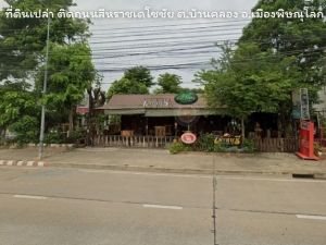 ที่ดินเปล่า ติดถนนสีหราชเดโชชัย ต.บ้านคลอง อ.เมือง จ.พิษณุโลก.