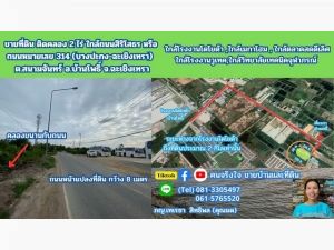 ขายที่ดิน ติดคลอง 2 ไร่ ต.สนามจันทร์  อ.บ้านโพธิ์ จ.ฉะเชิงเทรา.