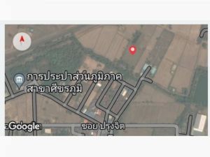 ขาย ที่ดิน อยู่ในเขตเขตเทศบาลตำบลระแงงหลังหมู่บ้านโชคชัย 4 ไร่ 1 งาน ใกล้สถานที่ราชการ