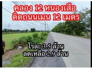 ขายที่ดิน คลอง 12 ตำบลสามวัง อำเภอหนองเสือ จังหวัดปทุมธานี.