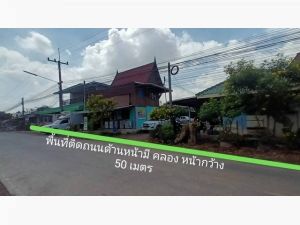 ที่ดินพื้นที่ 120 ไร่ ตำบล พยอม อำเภอ วังน้อย จังหวัด อยุธยา.