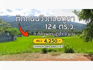 ที่ดินติดถนนใหญ่วิวดอยภูคา ทำเลสวย ติดถนน   .